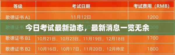 今日考試最新動態(tài)，最新消息一覽無余
