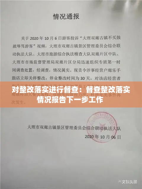 對整改落實進行督查：督查整改落實情況報告下一步工作 