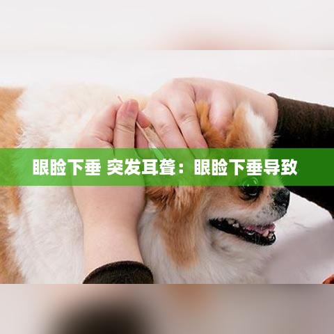 眼瞼下垂 突發(fā)耳聾：眼瞼下垂導致 