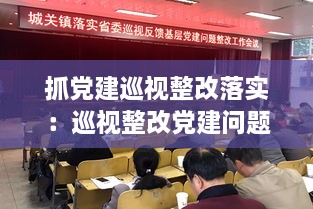 抓黨建巡視整改落實：巡視整改黨建問題 