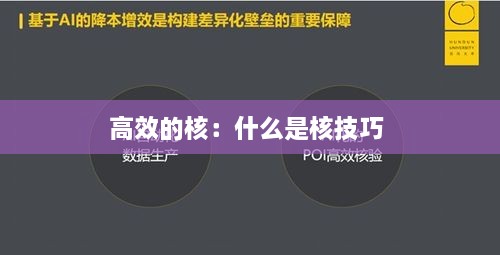 高效的核：什么是核技巧 