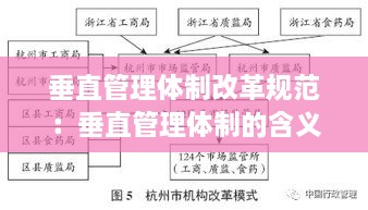 垂直管理體制改革規(guī)范：垂直管理體制的含義 