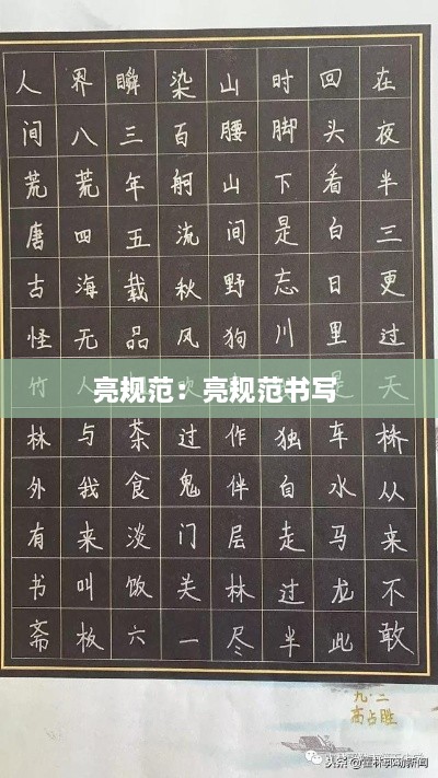 亮規(guī)范：亮規(guī)范書寫 