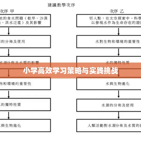 小學(xué)高效學(xué)習(xí)策略與實(shí)踐挑戰(zhàn)