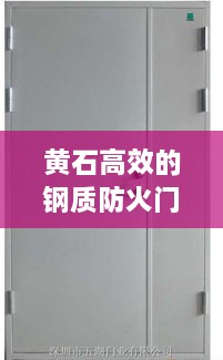 黃石高效的鋼質(zhì)防火門：防火鋼質(zhì)防火門廠家 